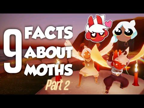 9 Facts about Moths part 2 | sky cotl funny video thumbnail