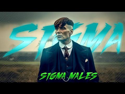 SIGMA MALE'S ATTITUDE STATUS EDIT | RONIK EDITZ thumbnail