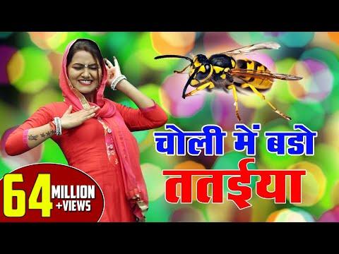 चोली में बड़ो ततैया !! Shivani Mast Dance Video 2022 !! Haryanvi Song 2022 !! Shivani Ka Thumka thumbnail