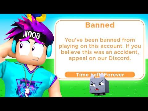 Why I was PERMANENTLY BANNED from Pet Simulator X 