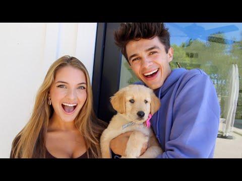 SURPRISING MY SISTER WITH A NEW PUPPY!! thumbnail