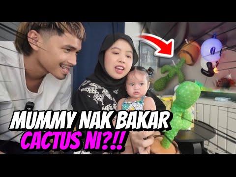 SOCIAL EXP ERIKA DAN CACTUS!! MUMMY BALING CACTUS?!! thumbnail