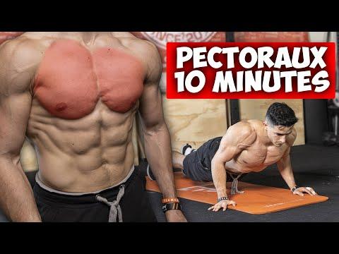 PECTORAUX MASSIFS ENTRAINEMENT MAISON 10 MINUTES ! thumbnail