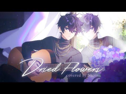 Dried Flowers - 優里 / ver. Shoto thumbnail