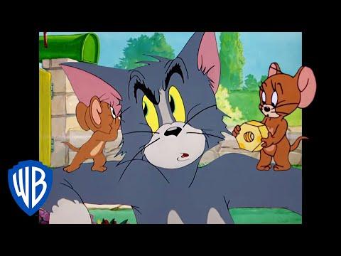 Tom & Jerry | How to Cat-ch a Mouse | Classic Cartoon Compilation | WB Kids thumbnail