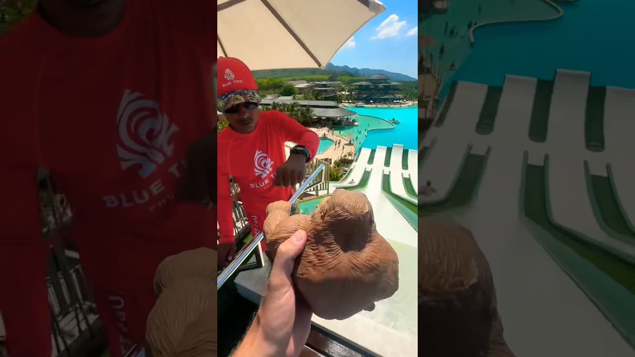 Funny monkey makes a video with a lifeguard๐คฃ