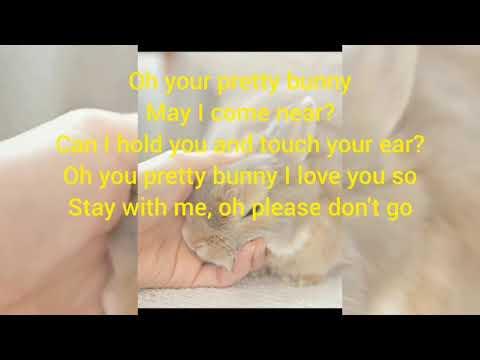 Rabbit Song/Bunny Bunny Bunny ,You are so Funny thumbnail