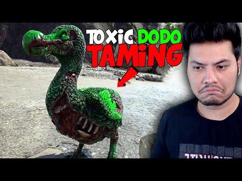 Its Soo Difficult To Tame Toxic Dodo - Ark Survival Evolved - PRIMAL FEAR | PART 5 thumbnail