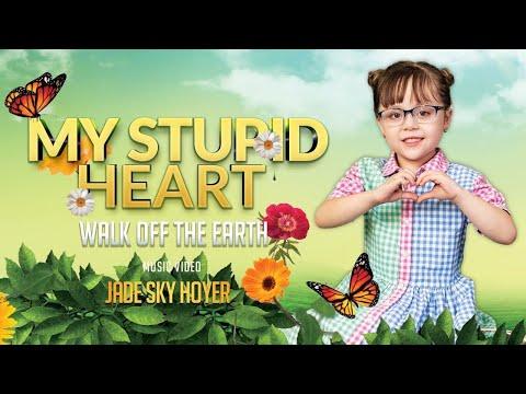 My Stupid Heart - Walk Off The Earth-  Jade Sky Hoyer Cover thumbnail