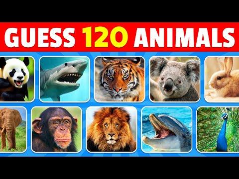 Guess 120 Animals in 3 Seconds | Easy, Medium, Hard, Impossible thumbnail