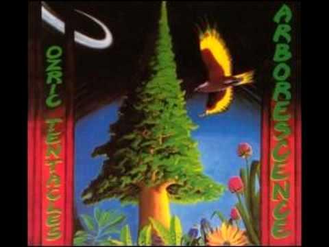 Ozric Tentacles - Dance of the Loomi off Arborescence thumbnail