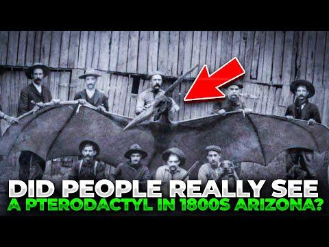 Unsolved Mystery: What was this Creature Spotted in 1800s Arizona? Pterodactyl" Sighting in 1800s thumbnail