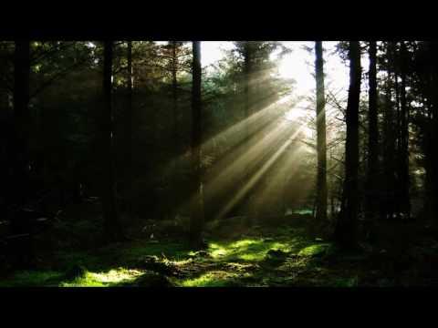 Tangerine Dream: Fauni-Gena (Atem: 1973) thumbnail