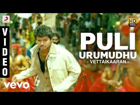 Vettaikaaran - Puli Urumudhu Video | Vijay thumbnail