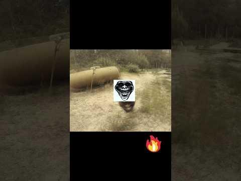 cane corso dog attack for me troll face thumbnail