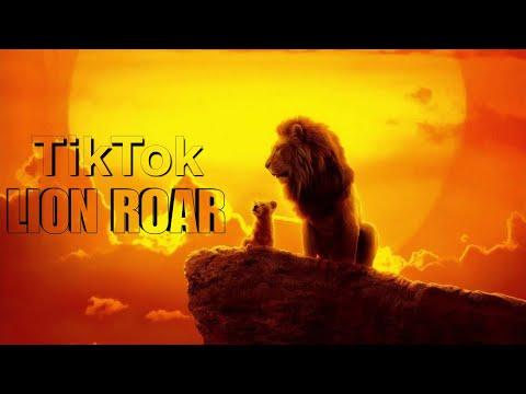 ALEX _ RUS - Дикая львица ORGINAL SONG | TikTok Trending Lion Roar Song | SahuKings thumbnail