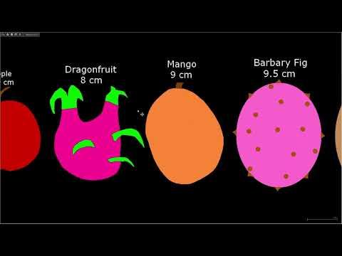 Fruit Size Comparison (Version 2) thumbnail