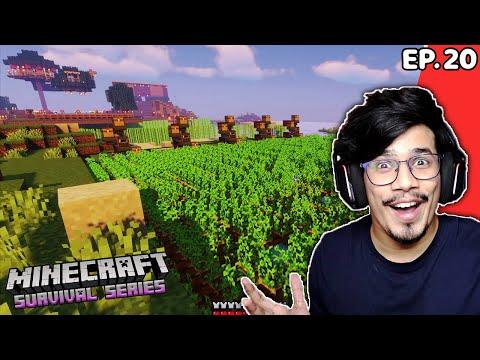 Biggest Potato XP Farm | Minecraft Fleet Kingdom #20 thumbnail