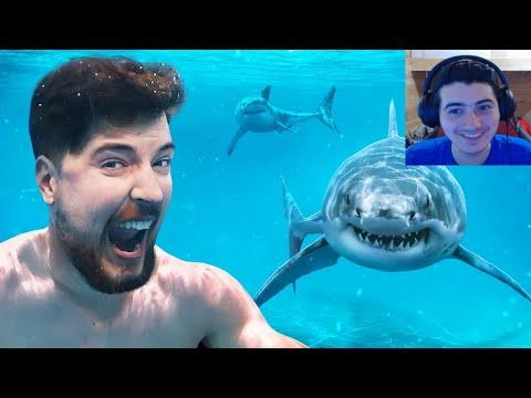 Mrbeast Would You Swim With Sharks For $100,000? Reaction! thumbnail