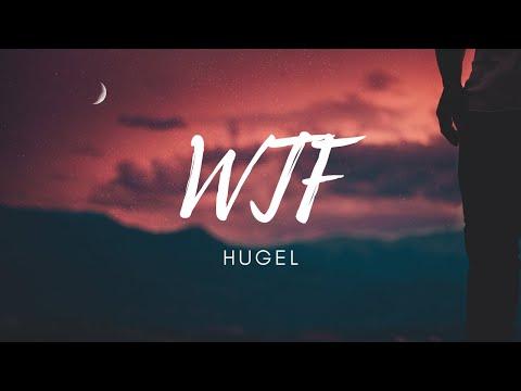 HUGEL feat. Amber van Day - WTF (Lyrics ) thumbnail
