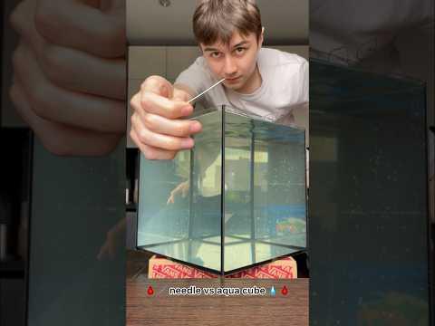 needle vs aqua cube🪡💧🩸 thumbnail