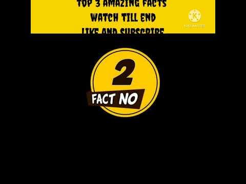Top 3 Amazing facts | Facts about Animals | Amazing facts | #shorts #youtubeshorts #viralfacts Facts thumbnail
