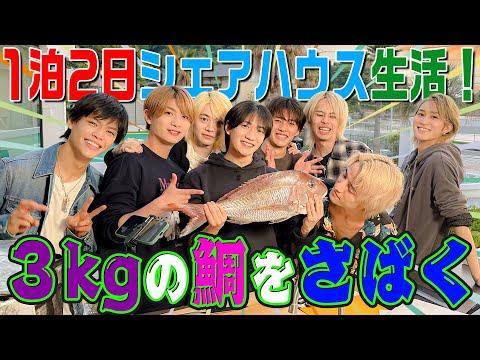 B&ZAI【シェアハウスで24時間共同生活～その4】3キロの鯛をさばく🐟！ thumbnail