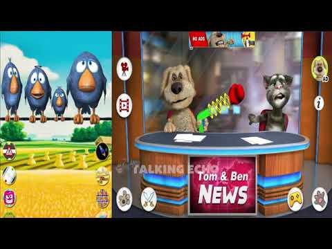 Talking Birds on Wire vs Talking News (Reupload) thumbnail