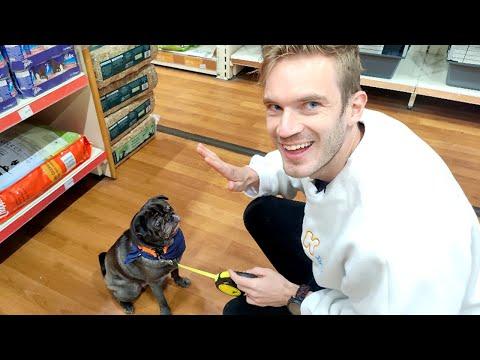 Buying Anything My Dog Touches thumbnail