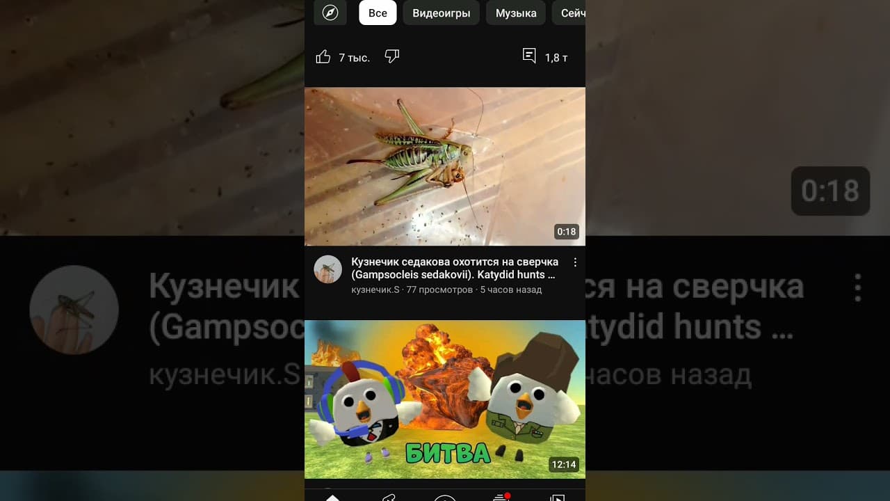 Channel Banner