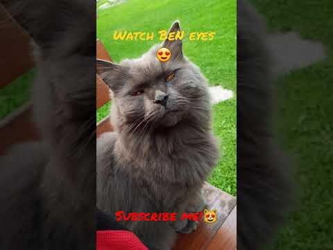 Look my eyes! #Shorts thumbnail