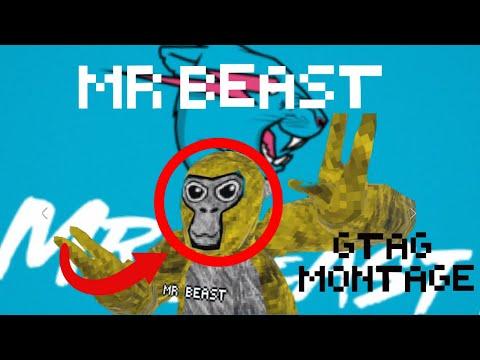 MR BEAST gorilla tag MONTAGE thumbnail