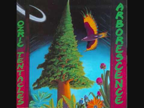 Ozric Tentacles - Shima Koto thumbnail