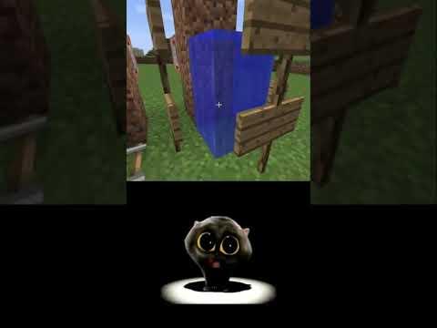 Minecraft logic 100% #memes #cat #scatman #shorts thumbnail