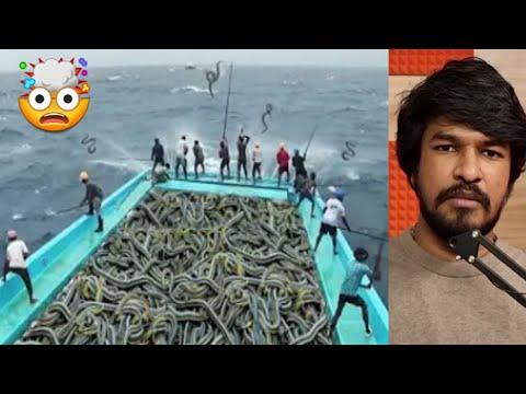 Unexpected Top 15 Wild Food 🤯 | Tamil | Madan Gowri | MG thumbnail