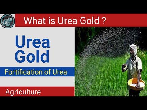 Urea Gold Fertilizer | What is Urea Gold | Current Affair | Sulphur Coated Urea | UPSC | UPPSC | SSC thumbnail