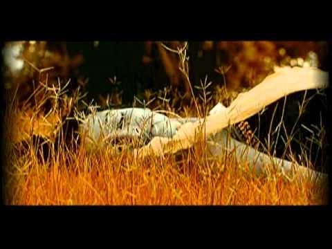 Tujhe Bhoolna To Chaha Lekin Bhula Na Paye [Full Song] Bewafa Sanam- Hits Of Ataulla Khan thumbnail