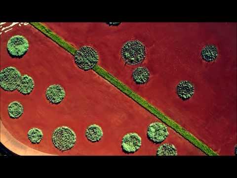 Tangerine Dream - Recurring Dreams thumbnail