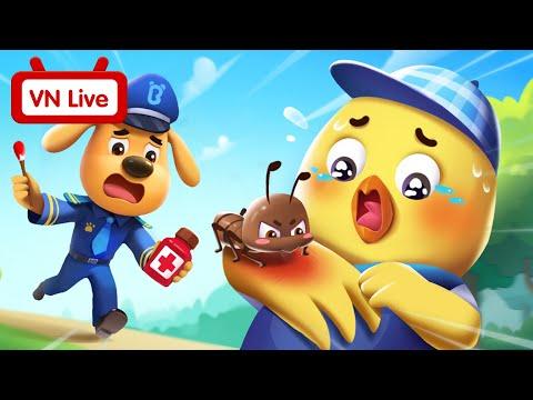 🔴 TRỰC TIẾP | Tuyển tập hoạt hình cảnh sát trưởng hay nhất | Hoạt hình Labrador | BabyBus Livestream thumbnail