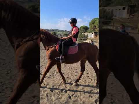 me horse riding thumbnail