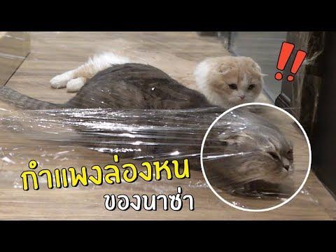 กำแพงล่องหนของนาซ่า thumbnail