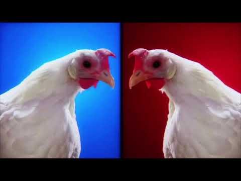 Techno Chicken Song Remix (1 Hour) thumbnail