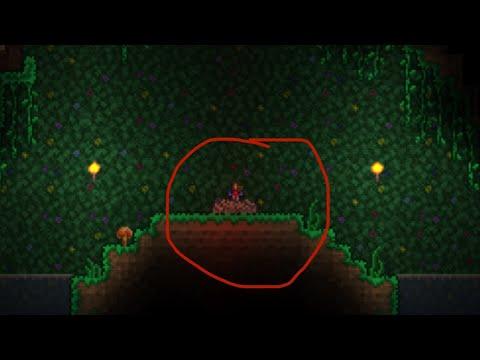 free enchanted sword shrine seed! thumbnail