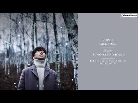 [HAN/ENG] Jung Seung Hwan 정승환 - The Fool 이 바보야 thumbnail