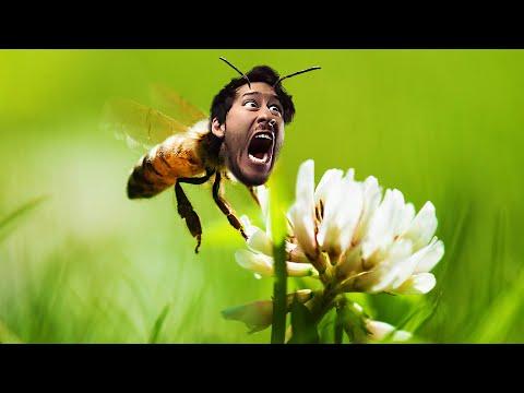 BEECOME THE BEE | Bee Simulator thumbnail