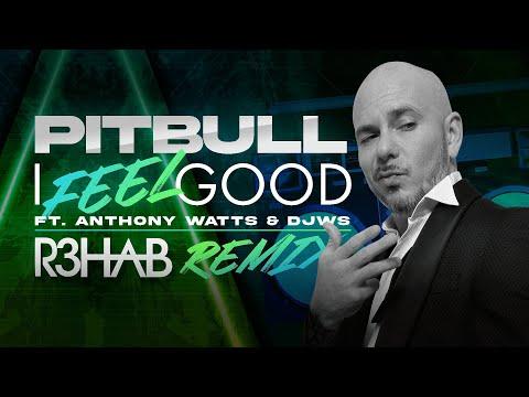 Pitbull Ft. Anthony Watts & DJWS - I Feel Good @R3HAB Remix (Visualizer) thumbnail