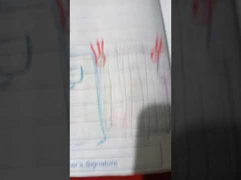 Hexadecimal blocks 10000 to 1000000 thumbnail