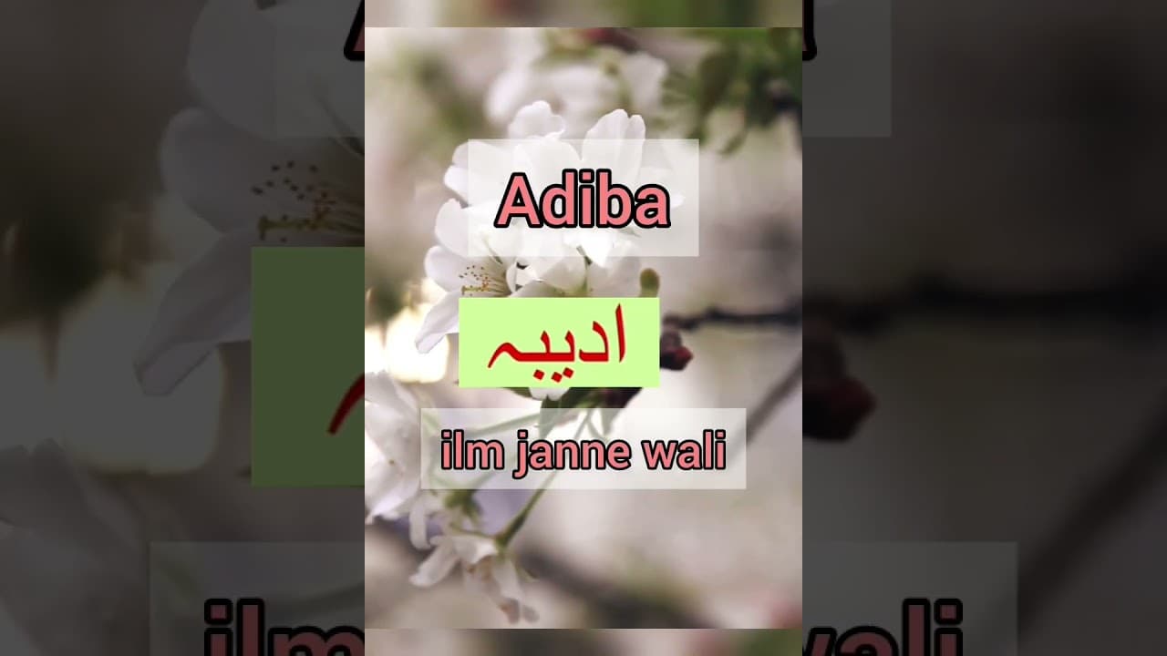 Channel Banner
