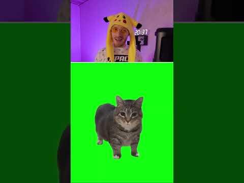 Sound effects of [Spinning Cat] W&W - OIIA OIIA #shorts thumbnail