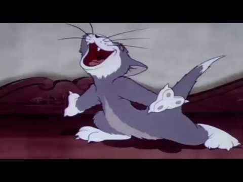 Tom and Jerry Episode 1 Puss Gets the Boot Part 3 thumbnail